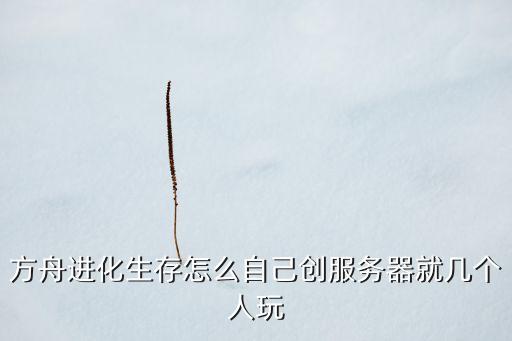 方舟进化生存怎么自己创服务器就几个人玩