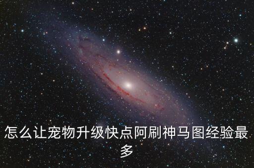 征途2手游怎么刷神宠经验，宠物怎么样才能最快升级为神宠