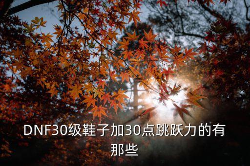 DNF30级鞋子加30点跳跃力的有那些