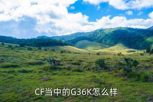 CF当中的G36K怎么样