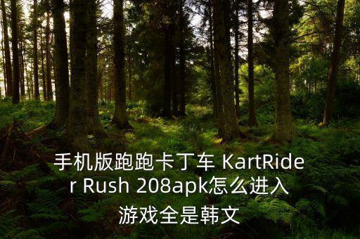 手机版跑跑卡丁车 KartRider Rush 208apk怎么进入游戏全是韩文