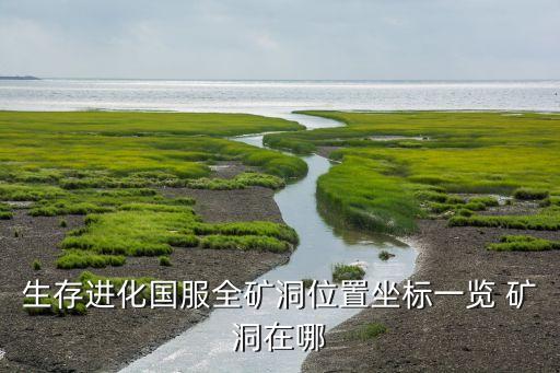 生存进化国服全矿洞位置坐标一览 矿洞在哪