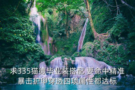 求335猫德毕业装搭配 要命中精准暴击护甲穿透四项属性都达标