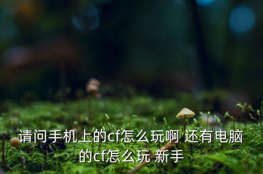 请问手机上的cf怎么玩啊 还有电脑的cf怎么玩 新手