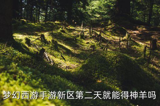 梦幻手游生肖神羊怎么获得，梦幻西游手游新区第二天就能得神羊吗