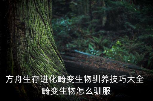 方舟生存进化手游沙漠狼怎么训，奇迹如何转职圣射手