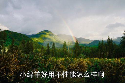 小绵羊好用不性能怎么样啊