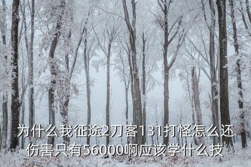 为什么我征途2刀客131打怪怎么还伤害只有56000啊应该学什么技