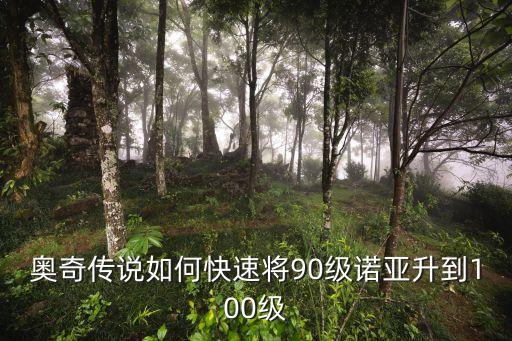 奥奇传说如何快速将90级诺亚升到100级