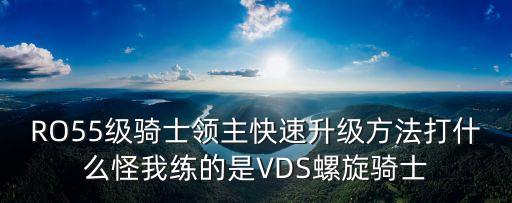 RO55级骑士领主快速升级方法打什么怪我练的是VDS螺旋骑士