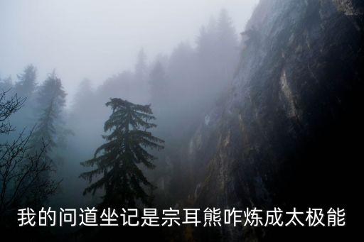 我的问道坐记是宗耳熊咋炼成太极能