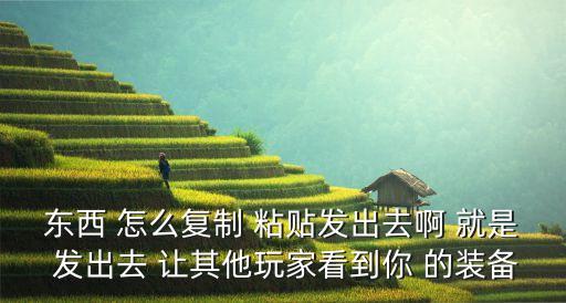 东西 怎么复制 粘贴发出去啊 就是 发出去 让其他玩家看到你 的装备