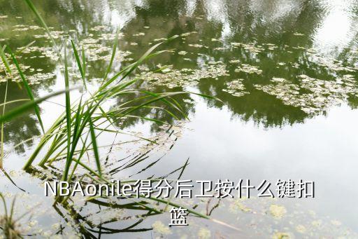 NBAonile得分后卫按什么键扣篮