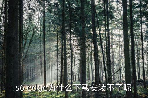 金铲铲s6手游怎么下载，怎么样下载程序到手机上
