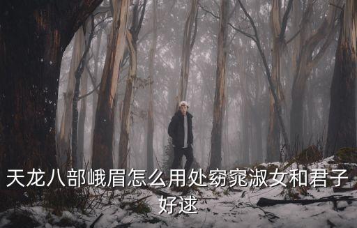 天龙八部峨眉怎么用处窈窕淑女和君子好逑