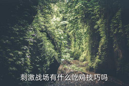 刺激战场有什么吃鸡技巧吗