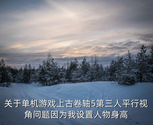 关于单机游戏上古卷轴5第三人平行视角问题因为我设置人物身高