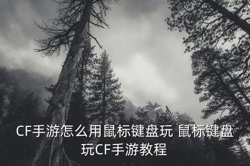 CF手游怎么用鼠标键盘玩 鼠标键盘玩CF手游教程