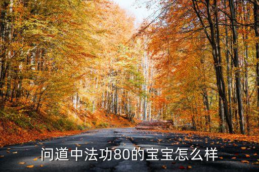 问道中法功80的宝宝怎么样