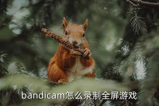 bandicam怎么录制全屏游戏