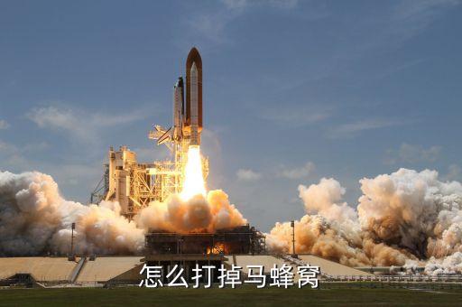怎么打掉马蜂窝