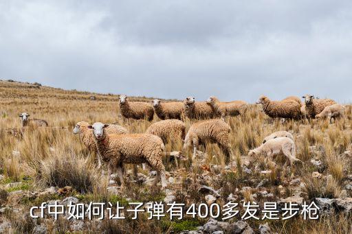 cf中如何让子弹有400多发是步枪