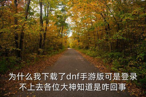 为什么我下载了dnf手游版可是登录不上去各位大神知道是咋回事