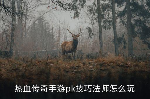 热血传奇手游pk技巧法师怎么玩