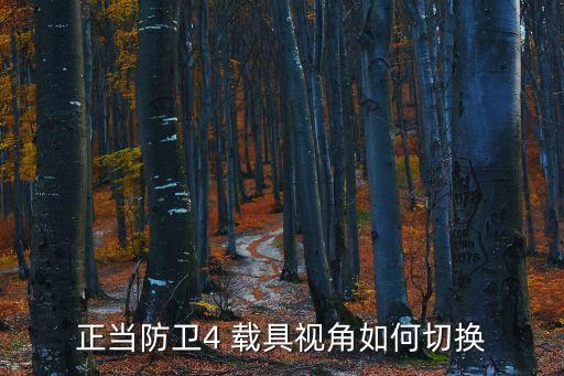 正当防卫4 载具视角如何切换