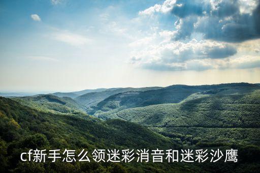 穿越火线手游沙鹰怎么画，CF中的双枪沙鹰怎么弄啊