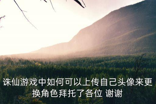 诛仙手游自定义头像怎么设置，诛仙游戏 怎么在游戏里的个人资料里设头像 注意 是任务角色的资