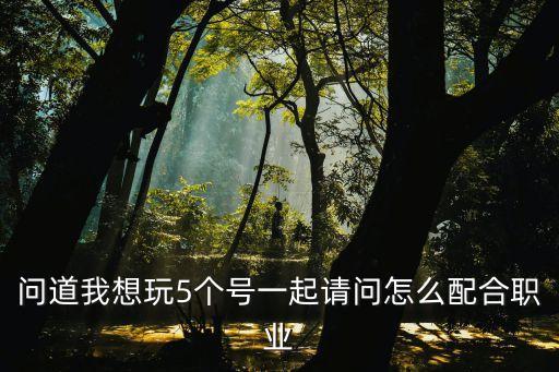 问道我想玩5个号一起请问怎么配合职业