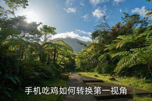 吃鸡手游第一人称怎么下，绝地求生大逃杀 怎么开第一人称模式