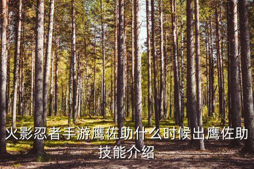 火影忍者手游鹰佐助什么时候出鹰佐助技能介绍
