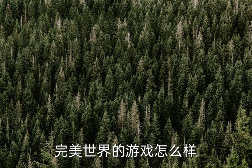 完美世界的游戏怎么样