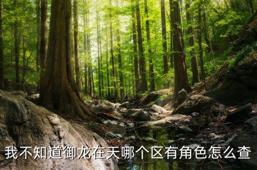 怎么在线查手游御龙在天角色，御龙在天 如何查看角色属性
