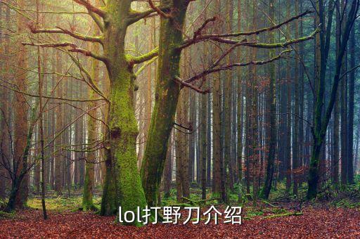 lol打野刀介绍