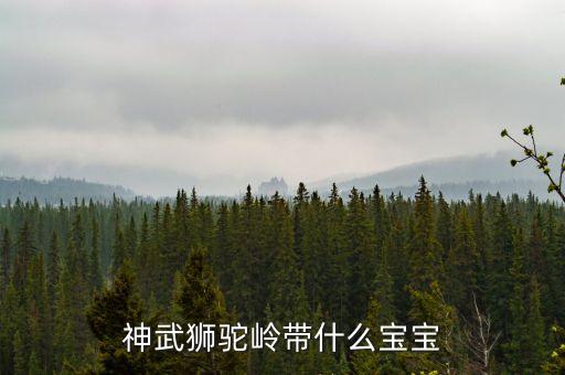神武狮驼岭带什么宝宝