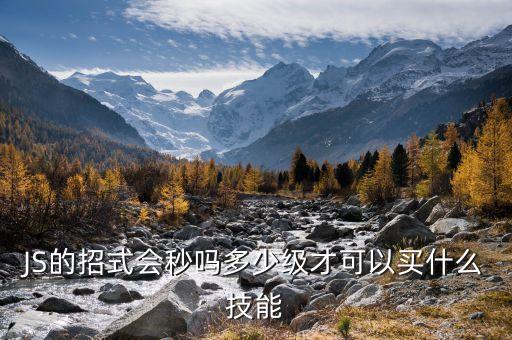 JS的招式会秒吗多少级才可以买什么技能