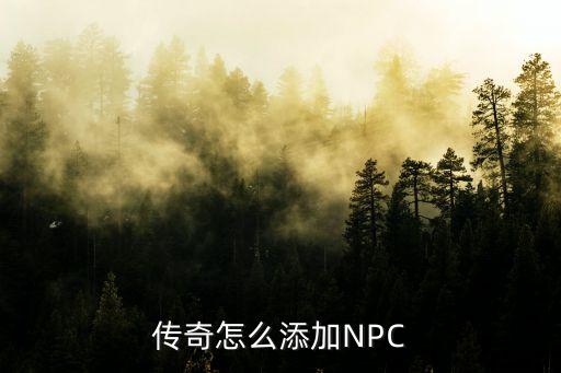 传奇怎么添加NPC