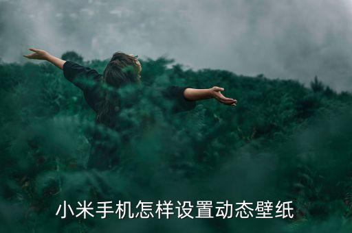 小米手机怎样设置动态壁纸