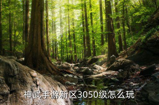 神武4手游怎么玩都玩不过60级，小白快到60级的时候普通的副本都打不过去了咋整