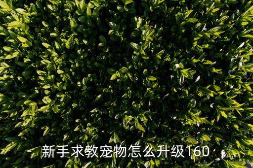 猎魂觉醒手游宠物怎么升级，新手求教宠物怎么升级160