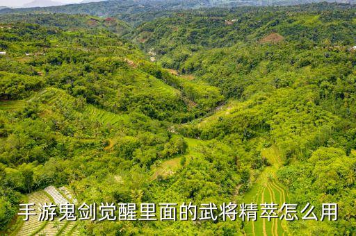 手游鬼剑觉醒里面的武将精萃怎么用
