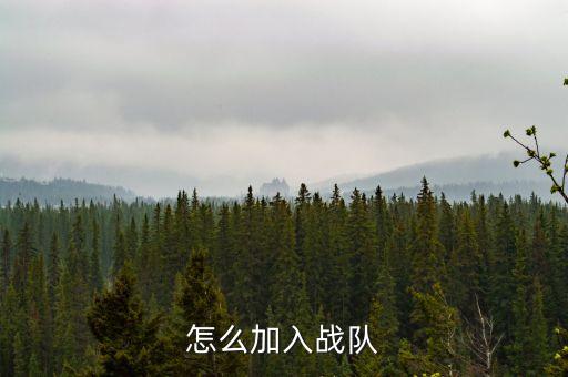 怎么加入战队