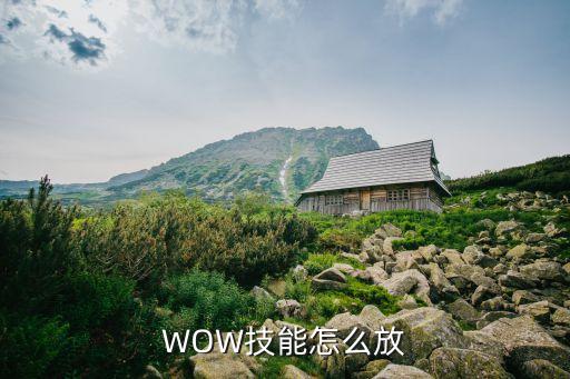 WOW技能怎么放