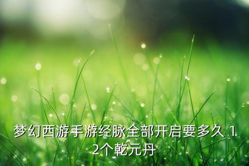 梦幻西游手游经脉全部开启要多久 12个乾元丹