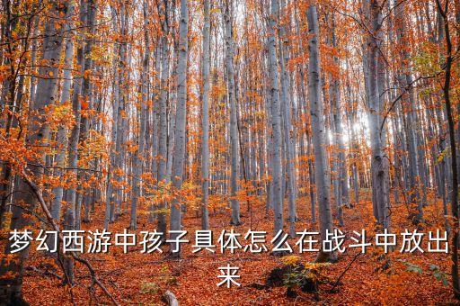 梦幻西游中孩子具体怎么在战斗中放出来