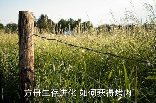 方舟生存进化 如何获得烤肉