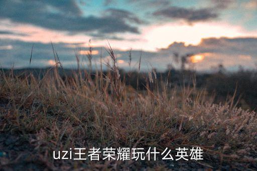 uzi手游怎么玩，Uzi用什么英雄王者荣耀一天王者